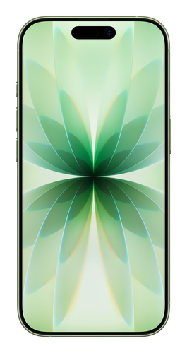 iPhone 17 - Indian Spec - Sage